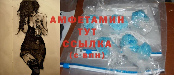 мдпв Бородино