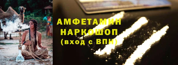 мдпв Бородино