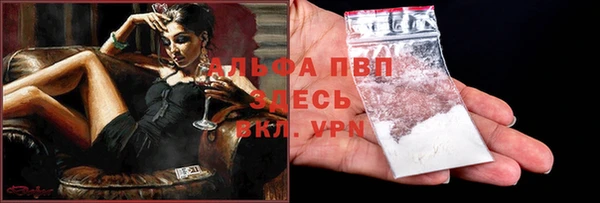прущие грибы Бугульма