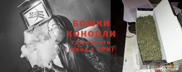 PSILOCYBIN Бронницы