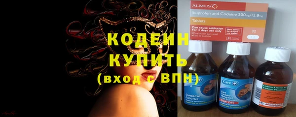 прущие грибы Бугульма