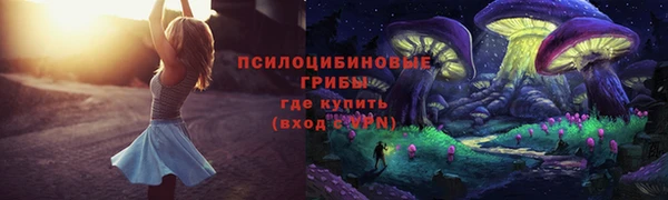 прущие грибы Бугульма