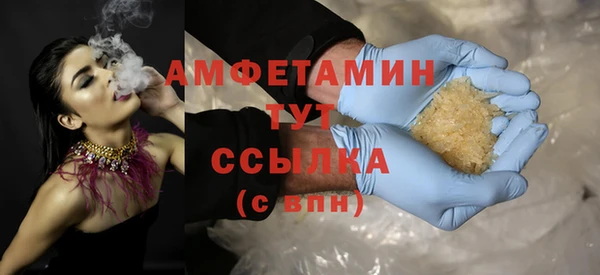 мдпв Бородино
