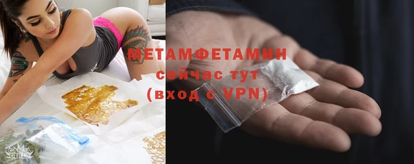 прущие грибы Бугульма