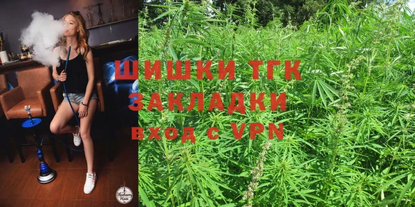 мдпв Бородино