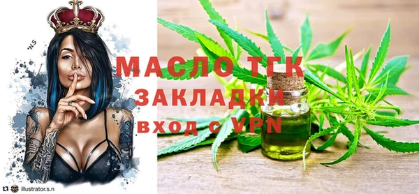 мдпв Бородино
