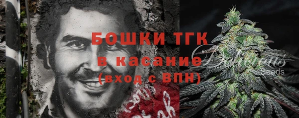 прущие грибы Бугульма