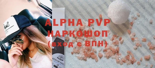 прущие грибы Бугульма