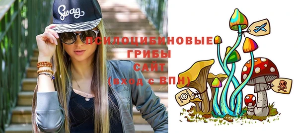 прущие грибы Бугульма