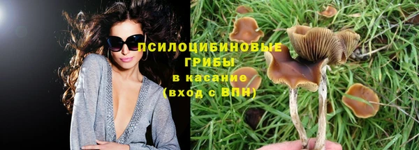 PSILOCYBIN Бронницы
