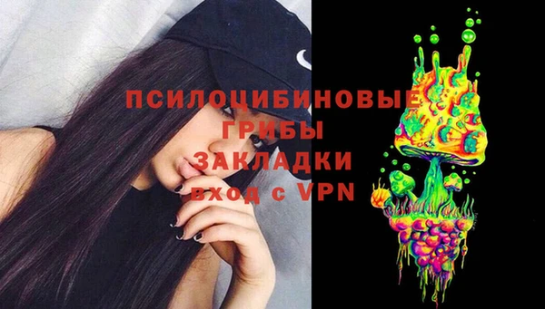 PSILOCYBIN Бронницы