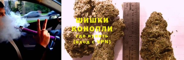 прущие грибы Бугульма