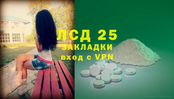мдпв Бородино
