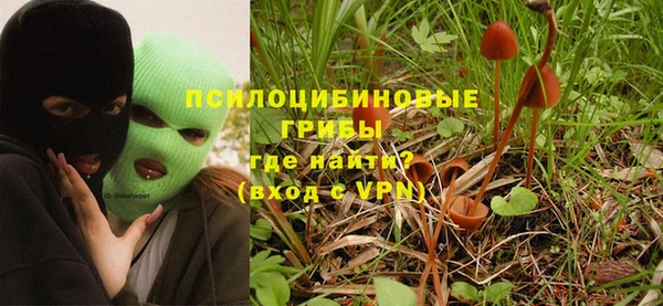 мдпв Бородино