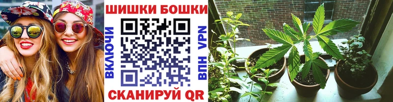 купить наркотик  Ростов-на-Дону  МАРИХУАНА ГИДРОПОН 